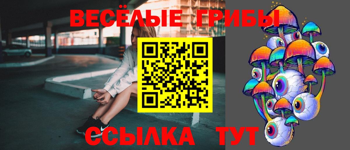Псилоцибиновые грибы GOLDEN TEACHER Тверь